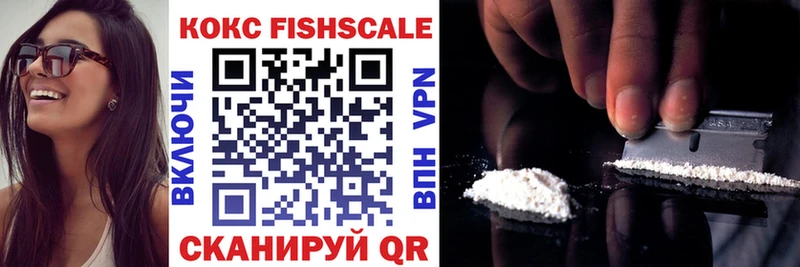 закладка  Краснозаводск  Кокаин Fish Scale 