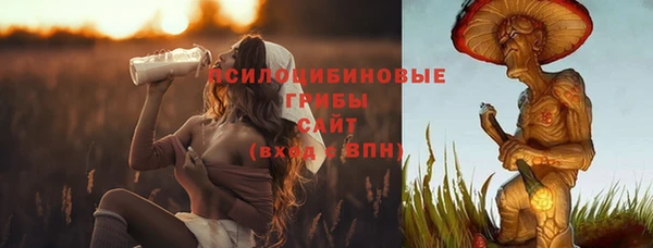 мескалин Богданович