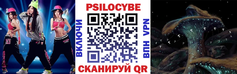 Псилоцибиновые грибы Psilocybine cubensis  Краснозаводск 